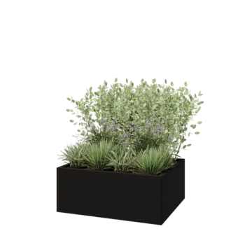 Steel planter - Rectangle - 100 x 80 x 40 cm - RAL9005 matt (black) - Without bottom plate