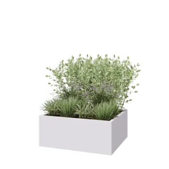 Steel planter - Rectangle - 100 x 80 x 40 cm - RAL9005 matt (white) - Without bottom plate