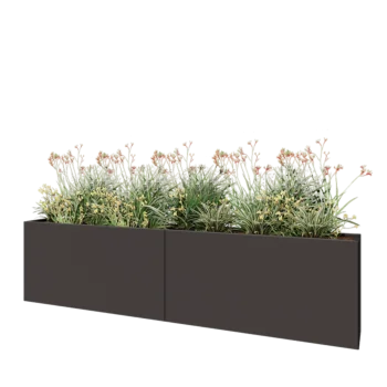 Steel planter XXL - Rectangle - 240 x 30 x 60 cm - RAL7016 matt (anthracite grey) - Without bottom plate