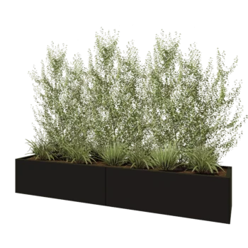 Steel planter XXL - Rectangle - 240 x 50 x 40 cm - RAL9005 matt (black) - Without bottom plate