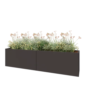Steel planter XXL - Rectangle - 240 x 50 x 60 cm - RAL7016 matt (anthracite grey) - Without bottom plate