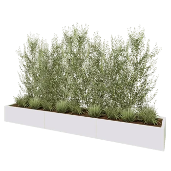 Steel planter XXL - Rectangle - 300 x 50 x 30 cm - RAL9005 matt (white) - Without bottom plate
