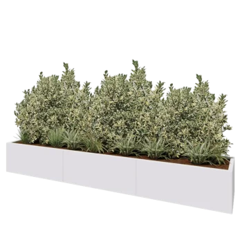 Steel planter XXL - Rectangle - 300 x 50 x 40 cm - RAL9005 matt (white) - Without bottom plate