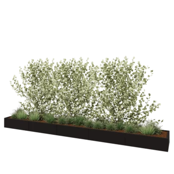 Steel planter XXL - Rectangle - 500 x 60 x 30 cm - RAL9005 matt (black) - Without bottom plate