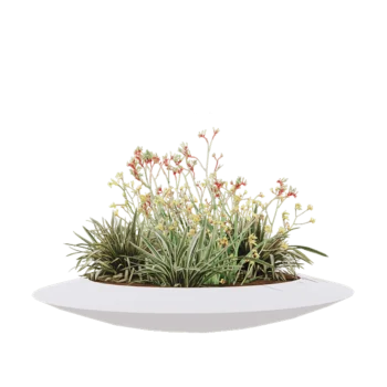 Fibreglass planter - Bowl - Ø 120 x 20 cm - RAL9010 matt (white) - With bottom