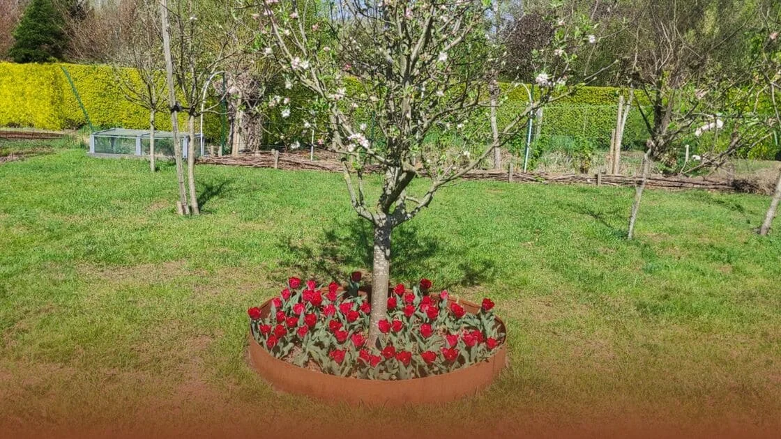 How do you make a border around a tree?