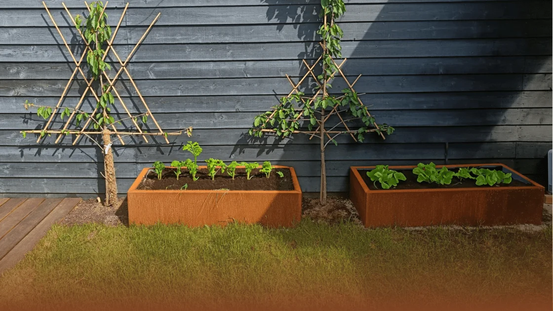 Why corten steel is perfect for a vegetable garden