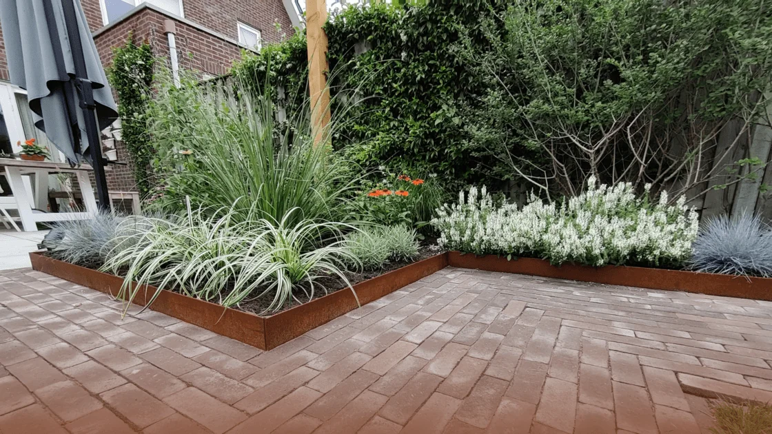 What different border styles are there?