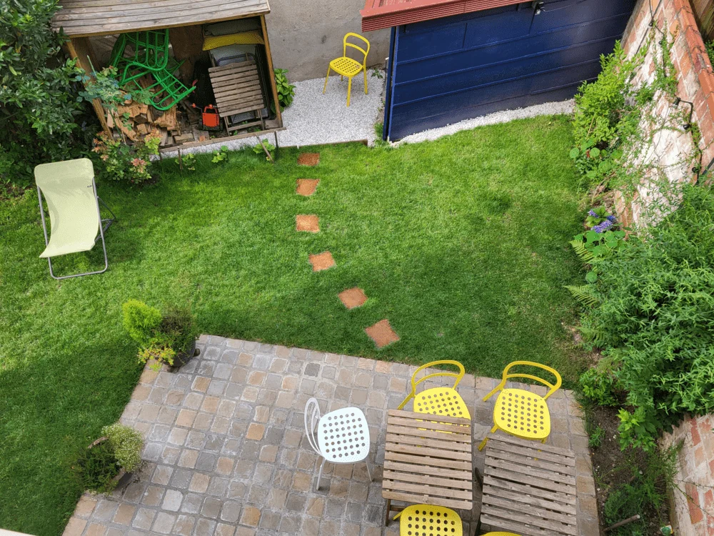 Which plants fit best around stepping stones?