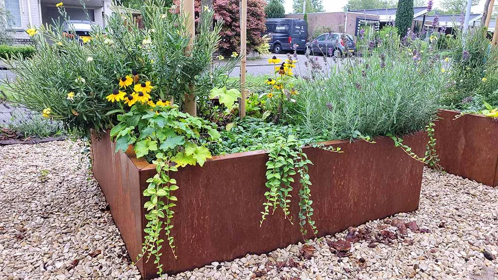 Filling a Corten steel plant box: complete step-by-step plan